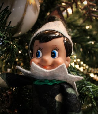 elf in green - image by themushroomphotographer - unsplash