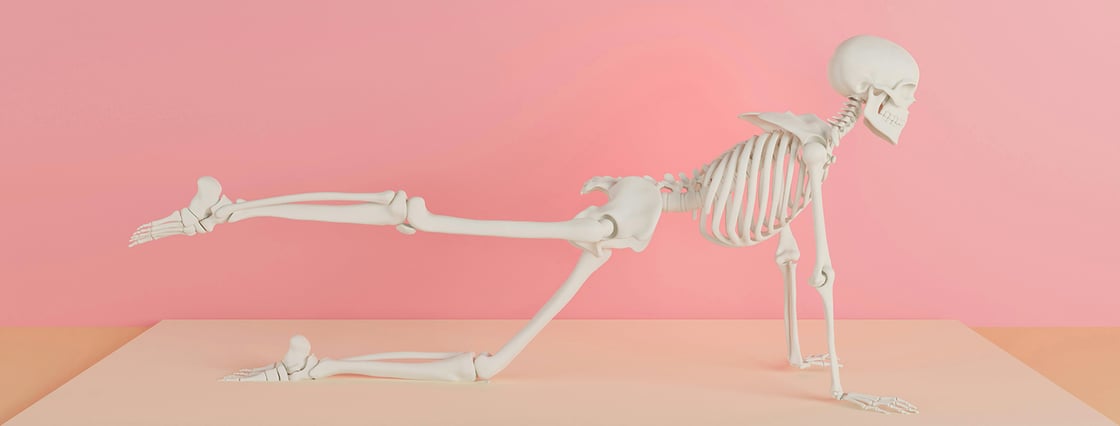 skeleton yoga dada_design-unsplash 1575x600